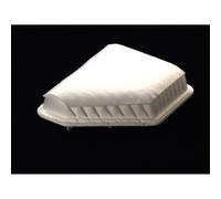 Filtro de aire JC PREMIUM B22109PR