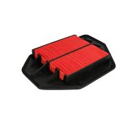 Filtro de aire JC PREMIUM B24055PR