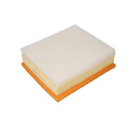 Filtro de aire JC PREMIUM B2B042PR