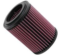 Filtro De Aire K&N E-2429 Compatible Con 02-06 Civic CR-V RSX