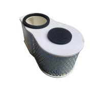 Filtro De Aire Kit Filtro De Aire Para Motocicleta Para Yamaha XVZ1300 Para Royal Star Boulevard, 1996-2000 Del Motor Filtros Admisión 4NK144510000 Filtros Admisión Motocicleta
