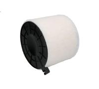 Filtro de aire MANN-FILTER C 17 010 AUDI A5 (F53, F5P) 3 2018-202