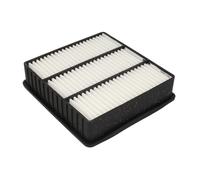 Filtro de aire MANN-FILTER C 2136/1