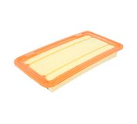 Filtro de aire MANN-FILTER C 30 020