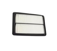 Filtro de aire para coche Para Kadjar Para Koleos II Para Samsung QM6 OE:16546-4BA1A 165464BA1A Filtro De Aire Motor Accesorios Coche