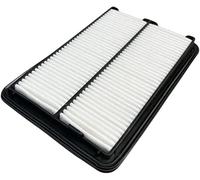 Filtro de aire para Nissan XTRAIL T32, QASHQAI J11, Renault KADJAR, KOLEOS 165464BA1A, 16546-4BA1A, 8660005342