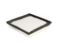 Filtro de aire WIX FILTERS 49049