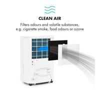 Filtro de carbón activo para deshumidificador DryFy 20 & 30 20x23x1cm