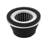 Filtro De Combustible 220-32601-07 220-32602-07 226-32610-07 Filtro de aire para motores horizontales Robin 3,5 y hp(1 PC)