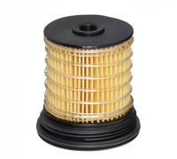 Filtro de combustible Cartucho filtrante E806KP HENGST FILTER para JEEP LANCIA