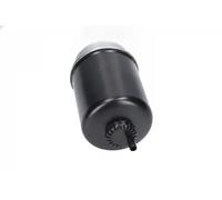 Filtro de combustible Cartucho filtrante FFF-10408 KAVO PARTS
