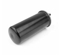 Filtro de combustible Filtro de tubería FFF-AU-003 NTY