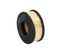 Filtro de combustible GLP FILTRON PM999/8 LANDI RENZO