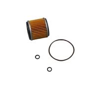 Filtro De Oil Filter Limpiador Filtro Aceite para Motor Motocicleta De 250 CC para TNT25 para TNT250 para BN251 para TRK251 para LEONCINO250 / BN para TNT para TRK(Filter and Seal)