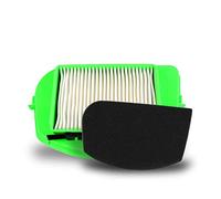 Filtro de repuesto compatible con MisterVac | Rowenta RO 2522WA CitySpace,Typ VC28OE0