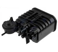 Filtro de ventilación del tanque de combustible EFP-TY-004 NTY