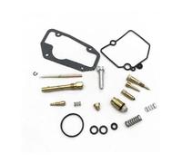 Filtro del Carburador para Yamaha TTR250 TTR 250 1999-2006 4GY-14384-00-00 4GY-14384-00 Kit De Reparación Carburador Motocicleta(Set 1)