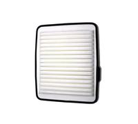 Filtro Habitaculo Filtro De Aire Para Motor De Coche Para Hummer H3 A3095C 15942429 Para GMC Para Colorado Para GMC Canyon Filtro Habitáculo Coche
