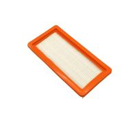 Filtro HEPA Compatible con Karcher DS5.800/DS6/DS6000/DS5800 aspiradora, Accesorios de Repuesto 2.860-273.0 + 6.414-631.0(B (1Pcs))