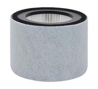 Filtro HEPA de repuesto con capa de carbón activado compatible con purificadores Trusens Z-3000 y Z-2000 para uso en casa y oficina, gris claro (Z-2000)