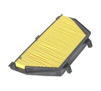 Filtro para Moto Compatible con Honda CBR600RR F5 2007 2008 2009 2010 2019 07 08 09 10 19 Elemento de Filtro de Aire de Repuesto para Motocicleta Filtro de Repuesto