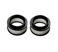 Filtro Prepostmotor, ZR009007 + ZR009008, Compatible Con Rowenta RH98xx RH99xx(B 2pcs)