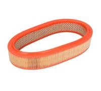 Filtron Filtro de aire AE 277