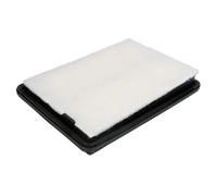 Filtron Filtro de aire AP 124/3 – Cartucho filtrante