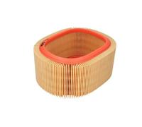 Filtron Filtro de aire AR131 para Renault Mégane y Clio