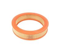 Filtro de aire FILTRON AR230