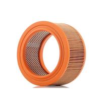 Filtron AR247/1 Compartimentos de Motor