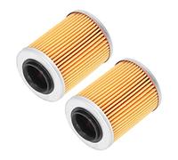 Filtros de Aceite, 0800-011300 Filtro de Aceite del Motor Reemplazo a Prueba de Polvo para CF Moto CForce UForce ZForce para Accesorios de ATV