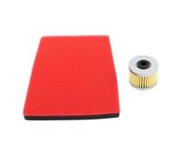 Filtros de aceite de Filtro de aire for motocicleta lavables for VOGE 300RR 300R 300AC 300DS 250RR 300GY LX300 LX300-6A CR6 LX300R(1SET)