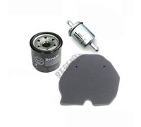 Filtros de aceite para moto Compatible con Benelli 302S BN302 TNT300 Compatible TORNADO 300 STELS/BN TNT Kit de filtro aceite aire combustible(Short fuel filter)