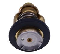 FILWY Termostato 60 C 67F-12411-01-00 Compatible con Fuera Borda F75 F80 F90 F100 F150 F200 F225