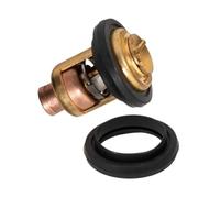 FILWY Termostato 60 Grados 66M-12411 66M-12411-00 66M-12411-01-00 Compatible con Fuera Borda 4 Tiempos 2.5HP 4HP 8HP 15HP 30HP 40HP 50-80HP