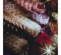 FIN DEL MUNDO - HICIMOS CRECER UN BOSQUE [Vinilo]