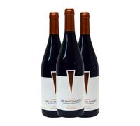 Fin del Mundo Pinot Negro Mendoza Reserva 75 cl Vino tinto (Caja de 3 Botellas de 75 cl)