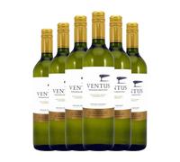 Fin del Mundo Ventus Sauvignon Blanc Chardonnay Mendoza 75 cl Vino blanco (Caja de 6 Botellas de 75 cl)