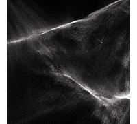 Final Light [Vinilo]