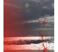 Final - Reading All the Rights Signals Wrong [Vinilo]