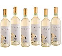 FINCA CARRETTA CAYEGA ROERO ARNEIS 2022 DOCG 75 CL 6 BOTELLAS