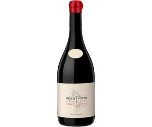 Finca Piedra Infinita Gravascal 2020 - Familia Zuccardi