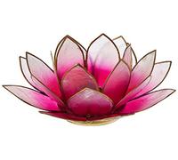 Find Something Different Lotus - Portavelas de té, diseño de Concha de capiz, Color Rosa Claro