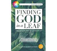 Finding God in a Leaf: The Mysticism of Laudato Si'