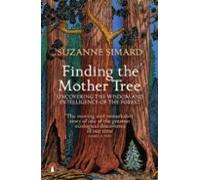 Finding The Mother Tree