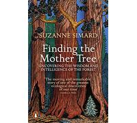 Encontrando al árbol madre – Descubriendo la sabiduría y la inteligencia del bosque