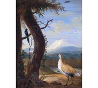Fine Art Prints Agricola Bustard Urraca, Pintura de Paisaje exótico, Vintage, Extragrande, impresión artística para Pared