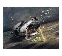 Fine Art Prints Póster de Pared de Takahashi con diseño de Flores de Ciruelo, tamaño Extragrande, tamaño XL