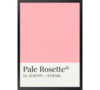 Fine Artic Cuadro Pantone Pale Rosette - Poster de Estilo Minimalista Rosa Pastel con Marco de madera - Arte mural Moderno y Nórdico decoración para Dormitorio - Cuadros Lámina Estética Enmarcada